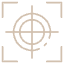 Vision icon